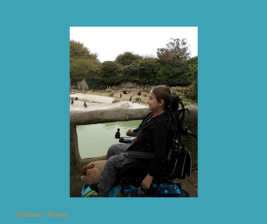 Welcome to the&nbsp;zoo?