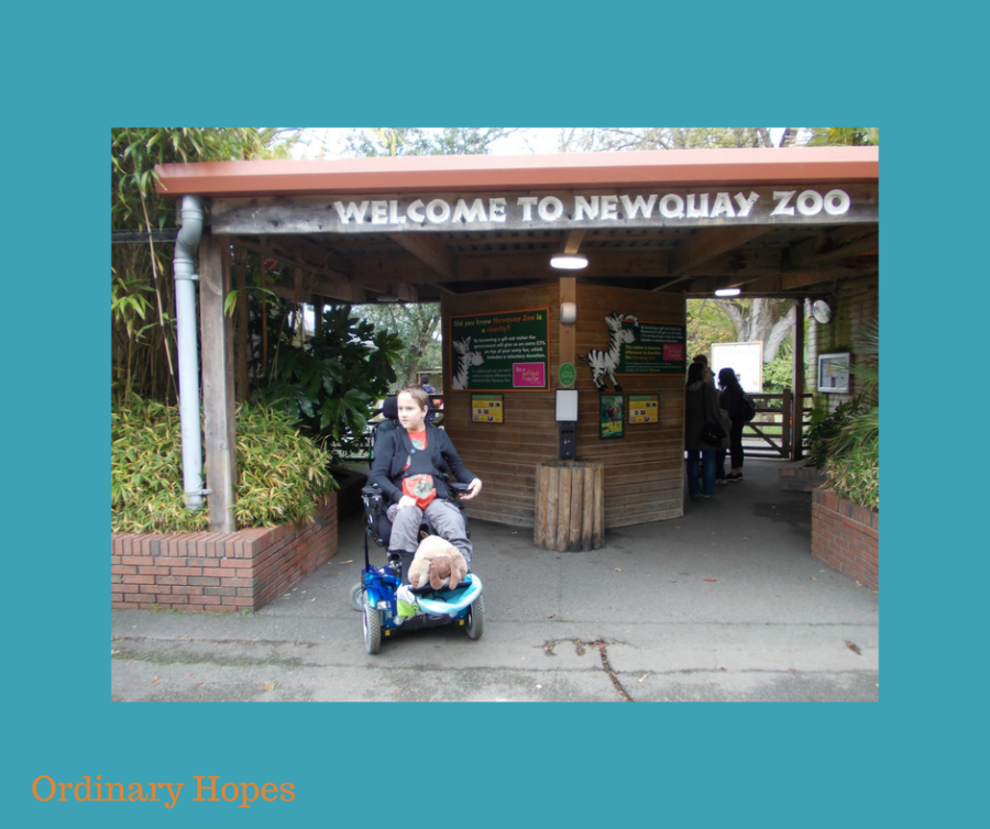 The alternative “Dear&nbsp;Zoo”