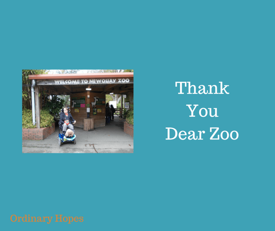 Thank You, Dear&nbsp;Zoo.