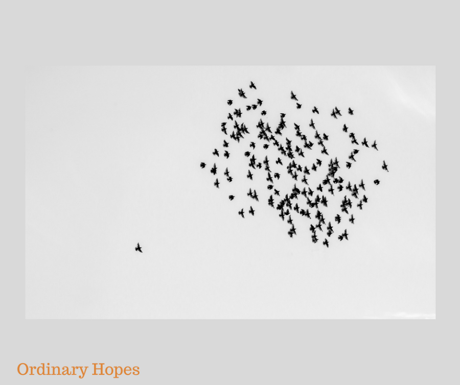 A photo of flock of birds in flight, some distance away. Most of the birds are close together, with just one lonesome bird separated from the flock,, some distance behind the others