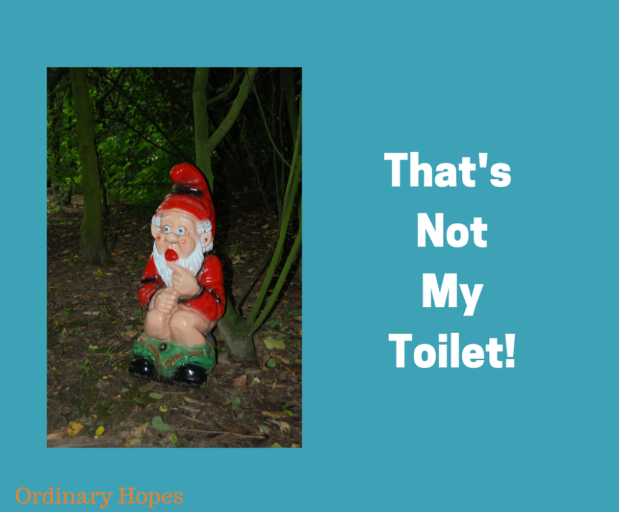 Text says That's not my toilet. Photo shows a gnome squatting beside a tree with his trousers round his ankles.