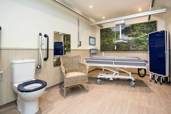 Changing table, hoist and toilet can be seen. Along with a beautiful picture covering the rear wall. The picture is full of green trees and shrubs surrounding a lake.